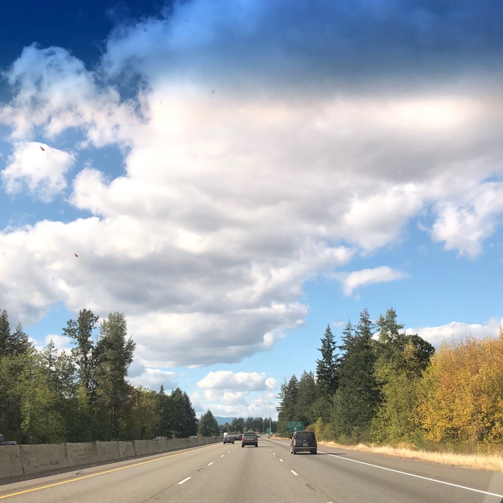 Meet your Posher, Molly